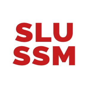 SLU-SSM
